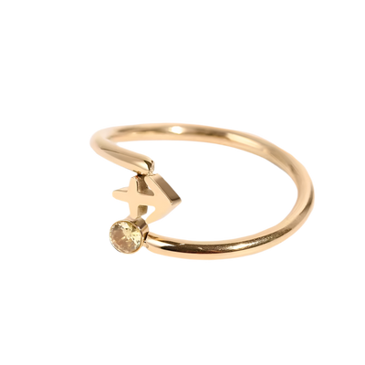 Saggitarius Eternal Wanderer Ring
