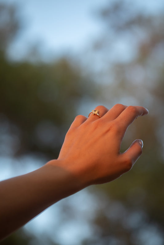 Velour Wings Ring
